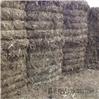 廠家直銷各種秸稈飼料  馬牛羊豬驢兔粗飼料 麥秸稻草花生秧地